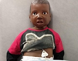 Image of training doll with enteral devices