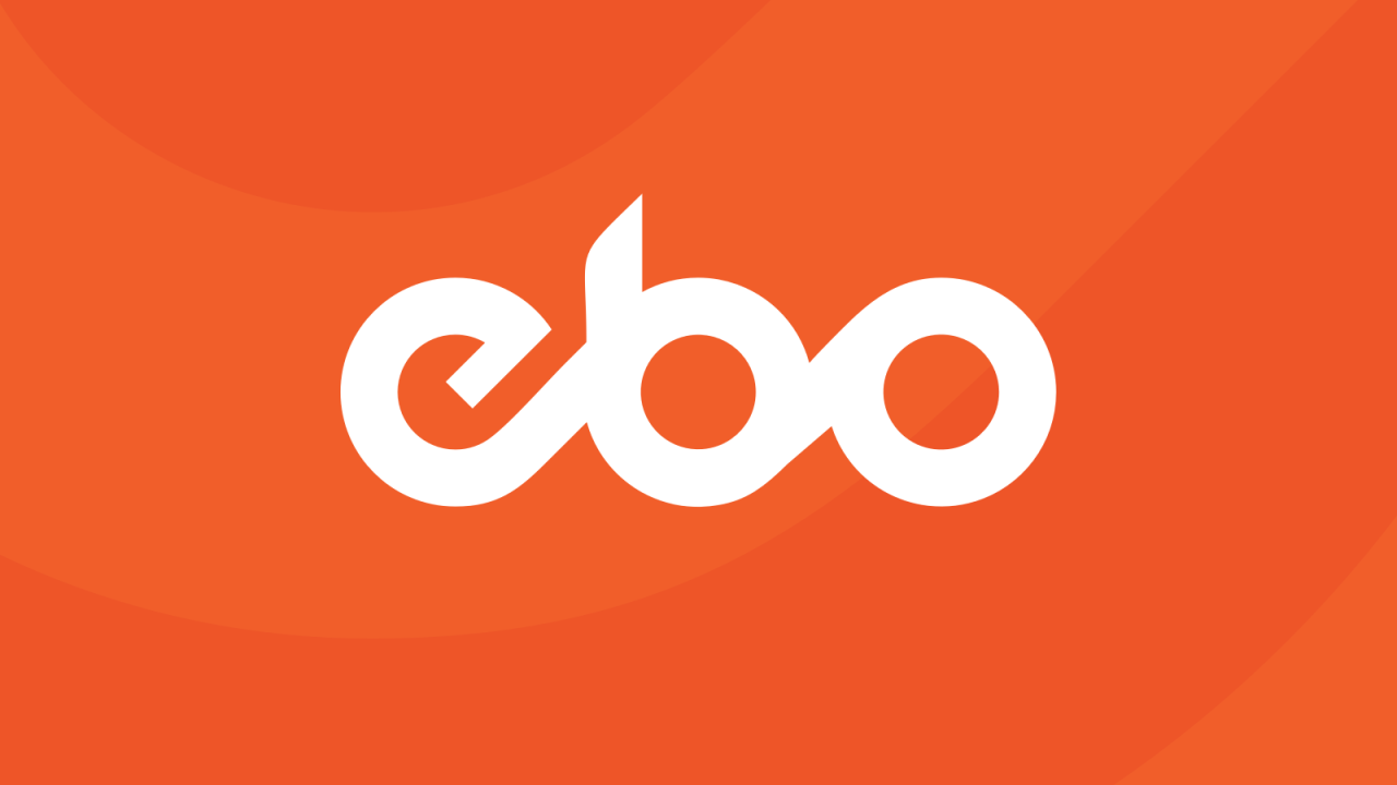 EBO.ai logo