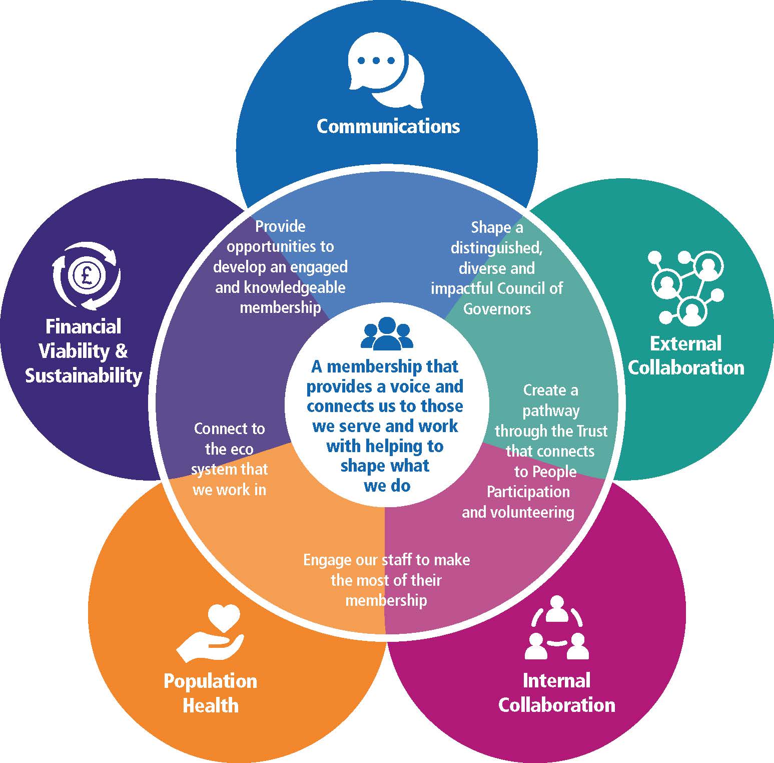 Membership Engagement Plan Infographic