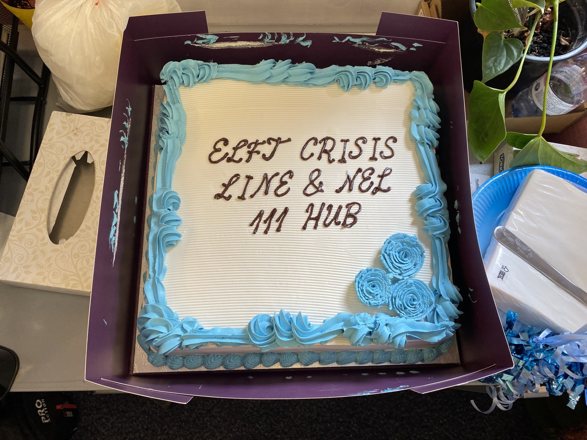 ELFT CRISIS LINE & NEL 111 HUB cake.