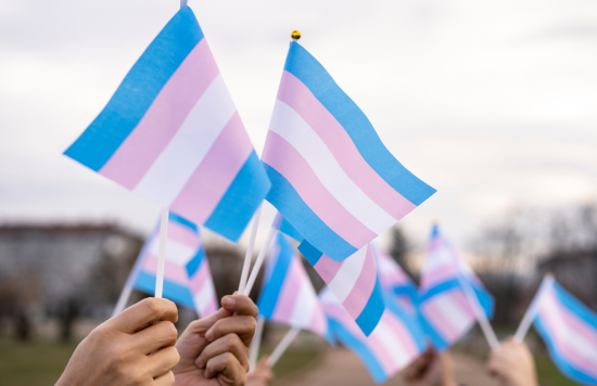 people holding up the trans flag (the flag has 5 horizontal stripes-blue, pink, white, pink, blue)